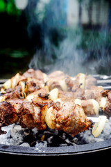 Pork Shashlik on the outdoor grill