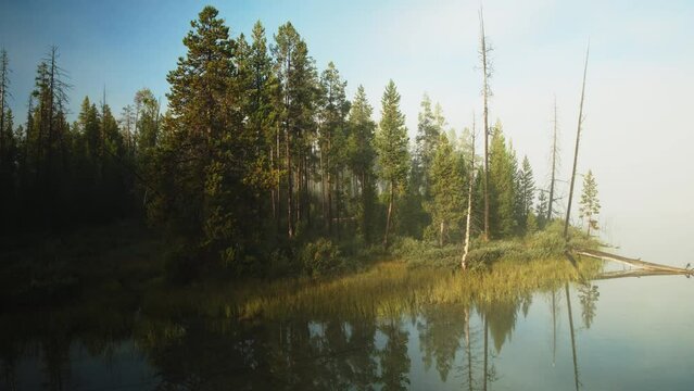 Aerial flyover view of trees at Little Redfish Lake / Stanley, Idaho, United States