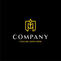 Luxury diamond initial M logo template