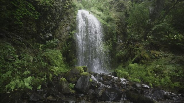 Panning shot of Lancaster Falls waterfall in lush green forest / Hood River, Oregon, United States