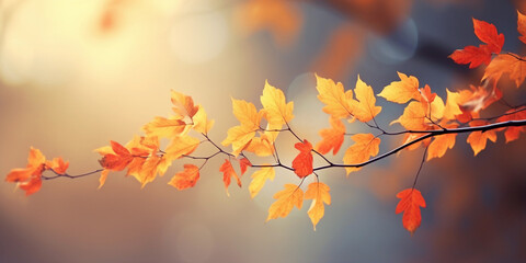 Beautiful autumn background with yellow leaves on blurred bokeh background