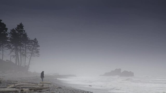 Distant person throwing rocks into ocean in fog at Ruby Beach / Kalaloch, Washington, United States