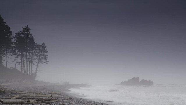 Ocean waves in fog at Ruby Beach / Kalaloch, Washington, United States