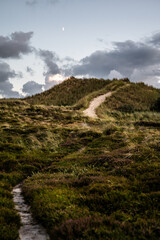 A captivating view of the undulating dune landscape in Denmark. Nature's sculpted beauty is on full display as these coastal dunes stretch along the shoreline. The interplay of sand, grass, and sky cr