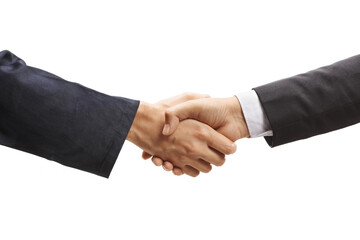 Worker shaking hands with businessman