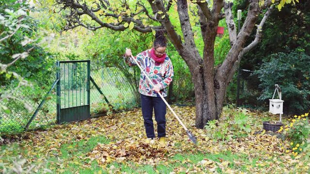 Woman raking autumn leaves in back yard
