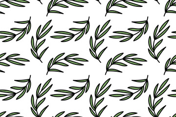 Eucalyptus branch. Tree. Plant with leaves. Botanical nature. Natural. Seamless vector pattern for design and decoration.