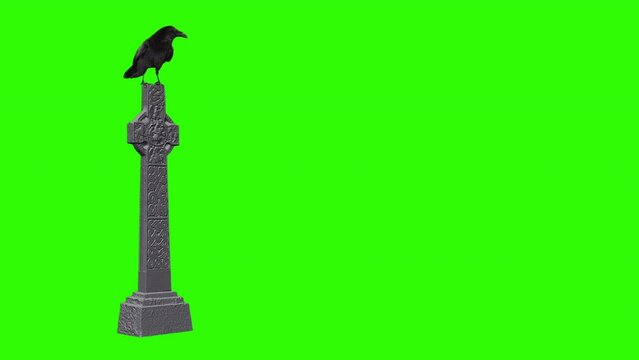 Raven on a grave headstone green screen