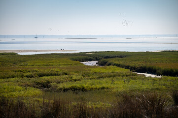 View on Arcachon Bay at low tide with many fisherman's boats and oysters farms, Cap Ferret peninsula, France, southwest of Bordeaux along France's Atlantic coastline