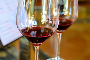Tasting of red dry wine in Chateauneuf-du-Pape wine making village in France with green vineyards on large pebbles galets and sandstone clay soil