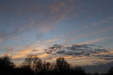 sunset over the field