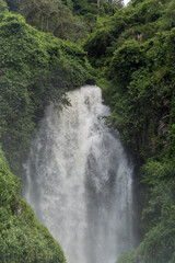 A picturesque waterfall in the forests of Ecuador on the outskirts of the city of Otavalo.