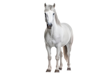 Obraz na płótnie Canvas A mare with a sleek, muscular build, image that looks painted. generative ai