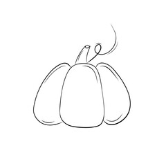 Sketch pumpkin decorative element in doodle style.  Simple vector illustration