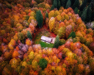 Aerial view of a house in a clearing inside the Cansiglio forest (veneto, Italy) at sunset during autumn foliage. 