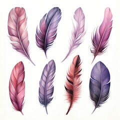 Watercolor multicolored rich bright feathers, dream catcher, isolated feather for different designs. - obrazy, fototapety, plakaty