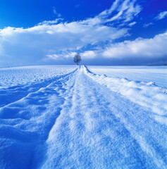 初雪の丘と路（旭川市西神楽）