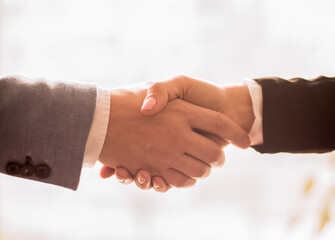 business people shaking hands in office