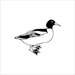 concept black duck vector illustration