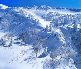 十勝岳連峰の冬（上富良野町）