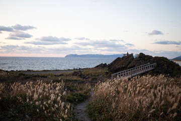 沓形岬から見える礼文島