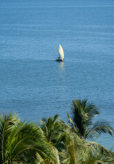 An old Peruvian fisherman returns from catching seafood on a raft. Ocean coast of Mancora, Peru. 
