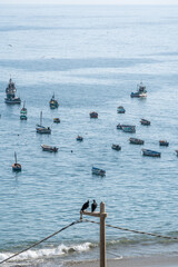 Fishing boats in the Pacific ocean.