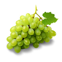 Green grapes isolated on transparent as png or white background