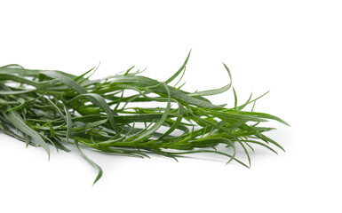 Bunch of fresh tarragon on white background