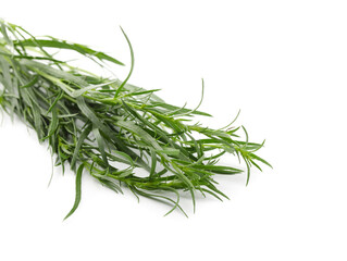 Bunch of fresh tarragon on white background