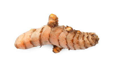 One fresh turmeric root isolated on white, top view