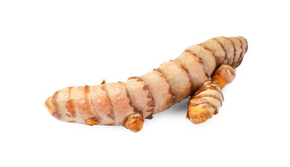 One fresh turmeric root isolated on white