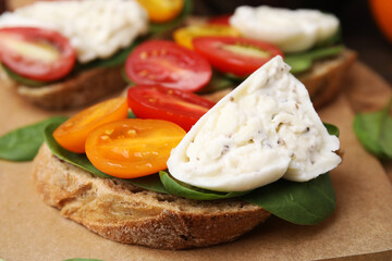 Delicious sandwich with burrata cheese and tomatoes on board, closeup