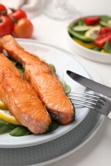 Healthy meal. Pieces of grilled salmon served on white table, closeup