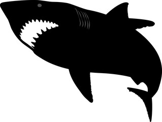 ホオジロザメ