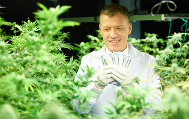 senior scientist holding cash money inside cannabis plants in greenhouse