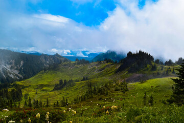 Naklejka premium landscape with clouds