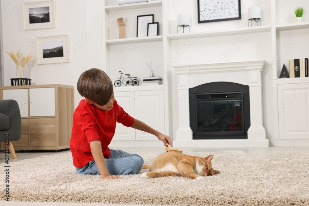 Poster Little boy brushing cute ginger cat's fur on soft carpet at home