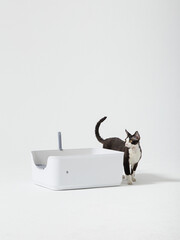 cat litter box,Cat litter basin,pet toilet,indoor