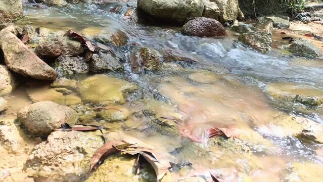 Clear River Water Flowing With Natural Rocky Expanses, In Daya Baru Village, Indonesia
