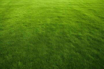 field soccer texture grass Green playing stadium football golf course vitality textured background turf cutting isolated land plant summer spring american baseball growth brightly lit bright landsca - obrazy, fototapety, plakaty