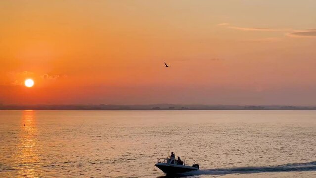Golden Hour Serenity: Seagull Soaring Over Howth Pier, Ireland, Embracing Nature's Beauty and Maritime Tranquility at Sunset