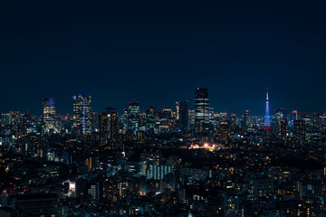 ライトアップされた東京タワーと東京都心の夜景