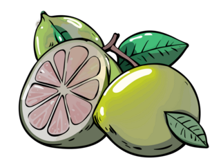 lime-citrus-aurantiifolia-citrus-fruit-with-a-tangy-flavor-used-in-cooking-and-beverages-please--119222641_preview_rev_2 (1)300.png