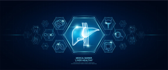 Liver healthy. Human organs icon symbols. Medical science banner design template. Health care medical check up too innovative futuristic digital technology. Examining organ and heart pulse. Vector. - obrazy, fototapety, plakaty