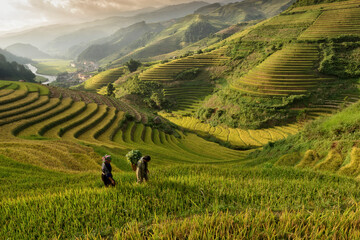 Farmers and sunset in Mu Cang Chai terraces fields, Vietnam