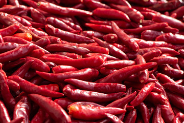 Ripe red hot chili peppers vegetable texture background. 