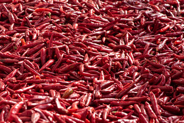 Ripe red hot chili peppers vegetable texture background. 