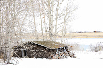 An abandoned sod house in winter