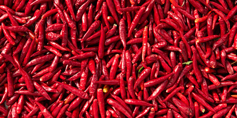 Fototapeta premium Ripe red hot chili peppers vegetable texture background. 